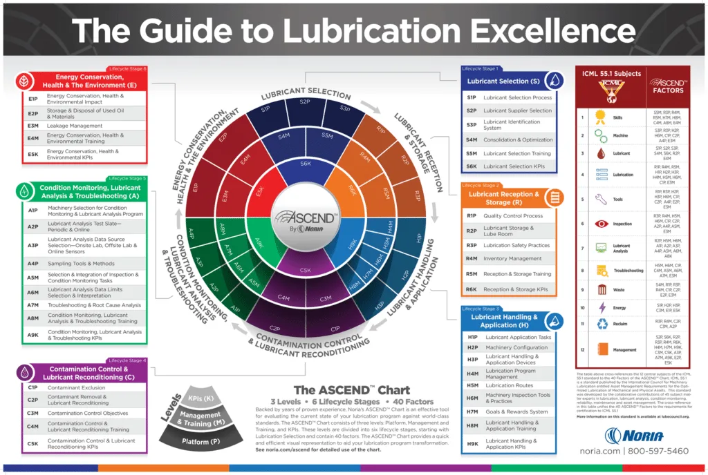 AcendWallChart 36x24