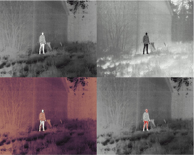 Typical FLIR personal security imagery