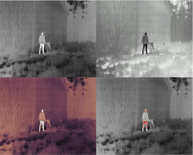 Typical FLIR personal security imagery