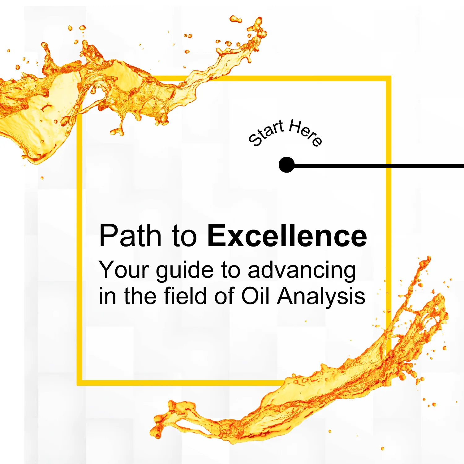 Path To Excellence Noria Training Card Image