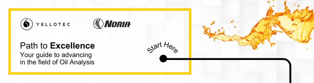 Path To Excellence Noria Training Top Banner